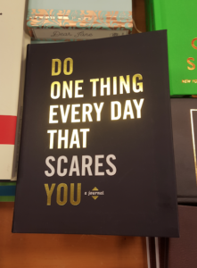 Do one thing every day that scares you Book