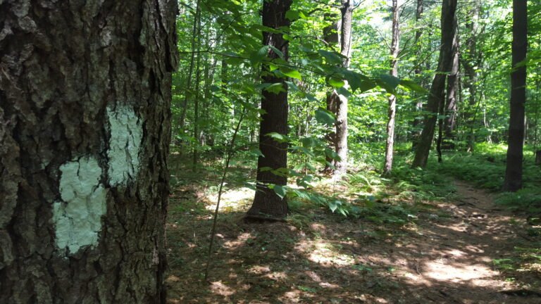 Marker trail goes right