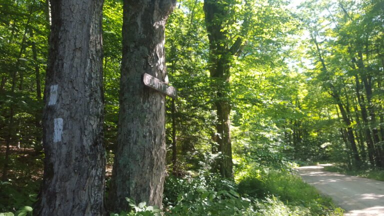 Trail ahead deviates left