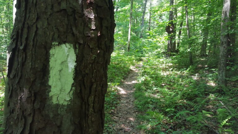 Single marker - Trail goes straight ahead