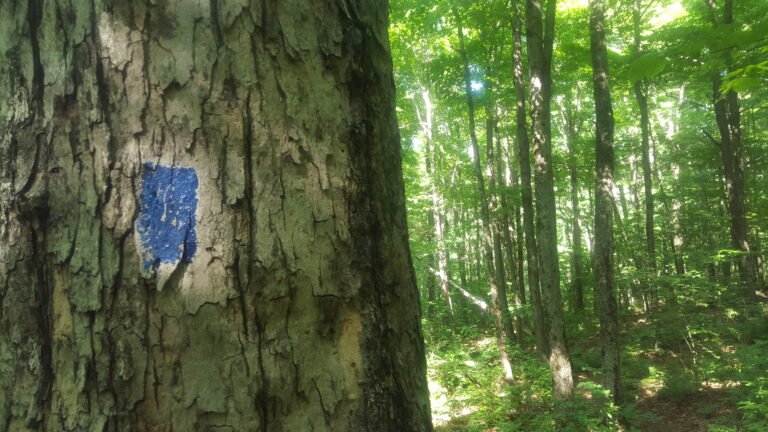 Marker for water ahead