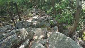 rocks to navigate 1