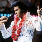 Elvis Presley image