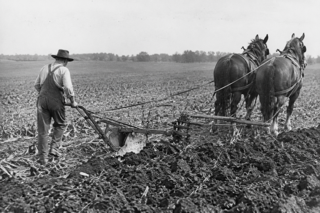 Historic Horse-Drawn Plowing Scene